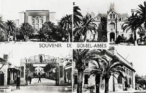 Sidi bel abbes 537- Souvenir COLLECTION DES AMIS DE ND DE SANTA CRUZ